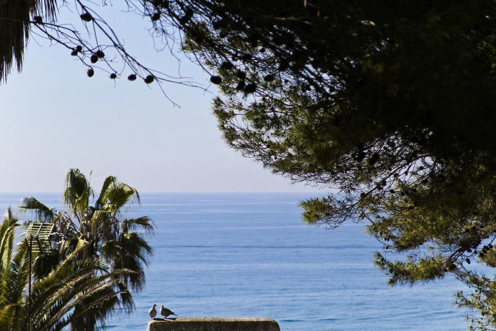 Mediterranea Planet Costa Dorada *